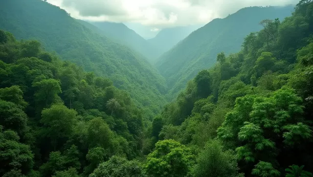 Amazon, Andes Trees Face Major Diversity Shifts