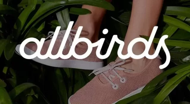 Allbirds Pivots to E-commerce, Closing US Stores